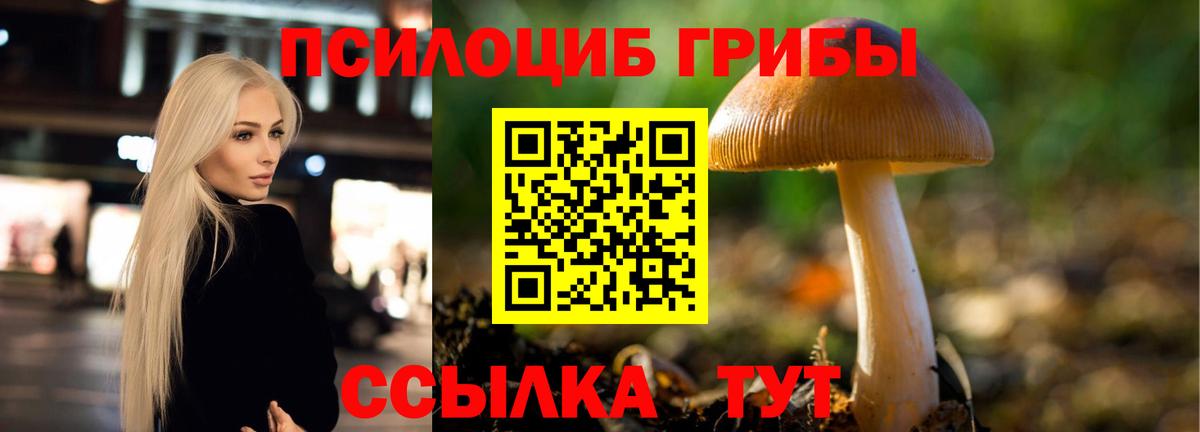 Псилоцибиновые грибы MAGIC MUSHROOMS  Вход с VPN  Красноуфимск 